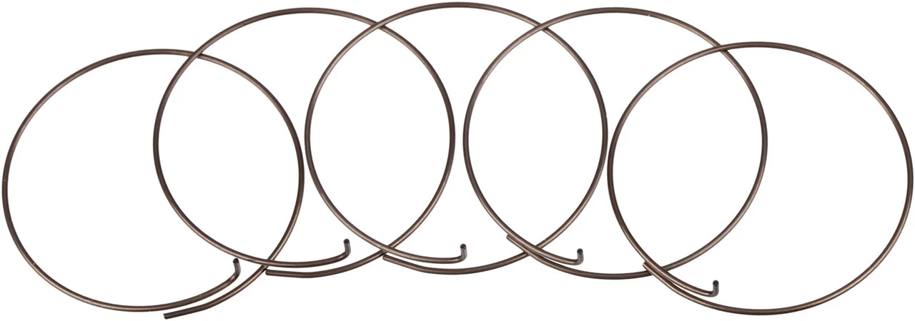 Fulcrum Sperrklinkenfedern 5-RM0-005 Für MTB Freilaufkörper